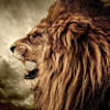 lionel_mims1122